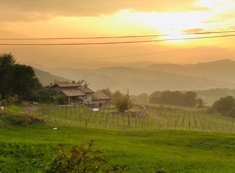 Bed and Breakfast Fattoria Branciana Rossena Exterior foto